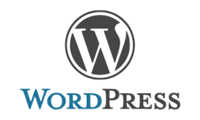 Wordpress SEO Experts